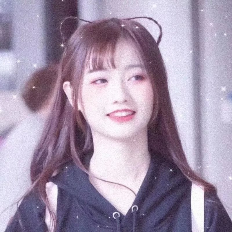 完美小姐进化论封面